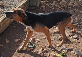 Monsieur01