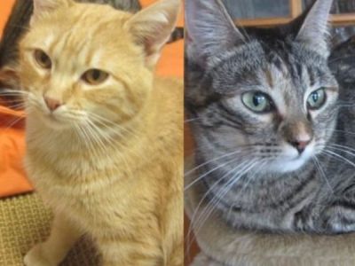 Blondi+Luisa Blondi+Luisa