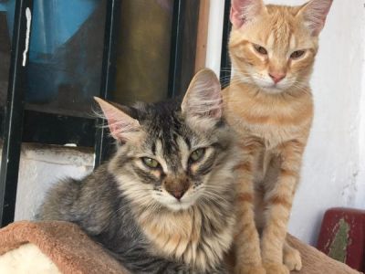 Calida+Leo Calida+Leo