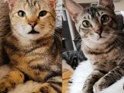 Rihanna+Ragnar Rihanna+Ragnar