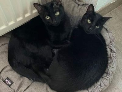 Charlie+Joy Charlie+Joy