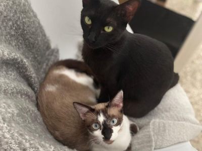 Marvie-und-Lissy Marvie-und-Lissy