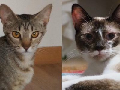 Paulinchen-Emily Paulinchen-Emily