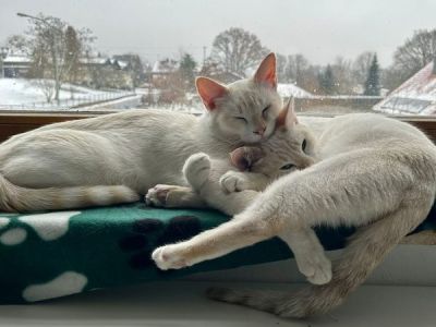 Charly und Lucky Charly und Lucky