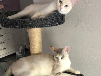 Nina und Thor Nina und Thor