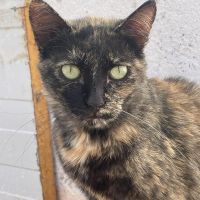 Berta