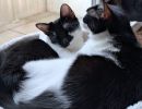 Maša und Luna