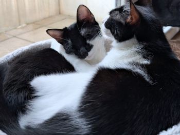 Maša und Luna